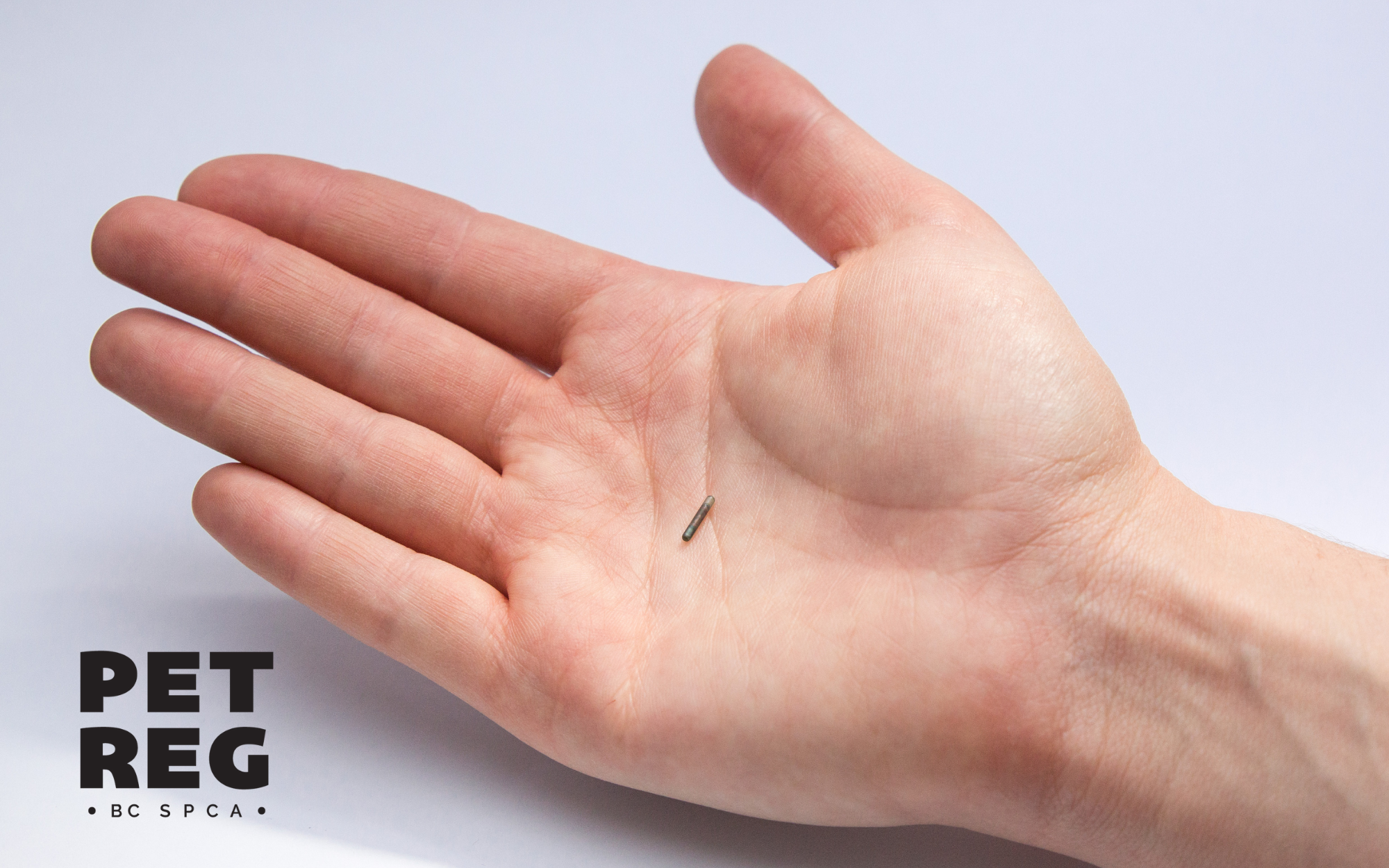 Spca microchip deals registration